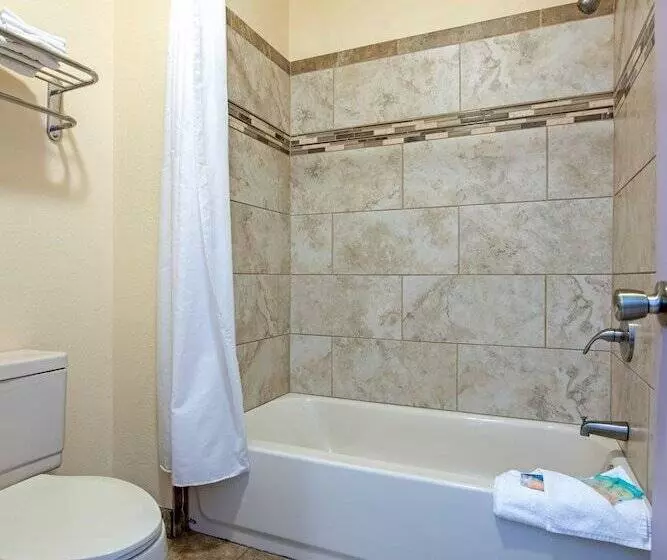 汽车旅馆 Silver Spruce Inn