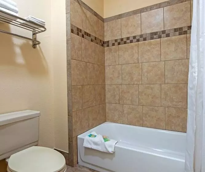 汽车旅馆 Silver Spruce Inn