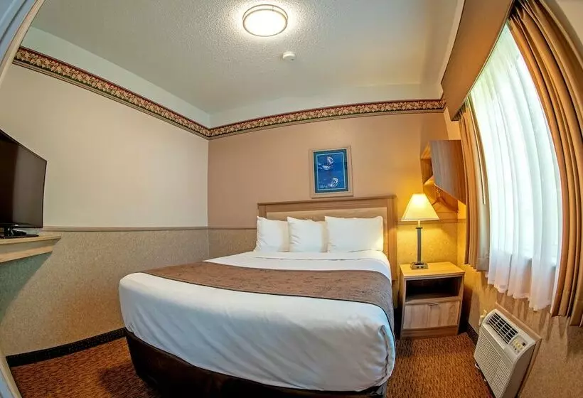 汽车旅馆 Silver Spruce Inn