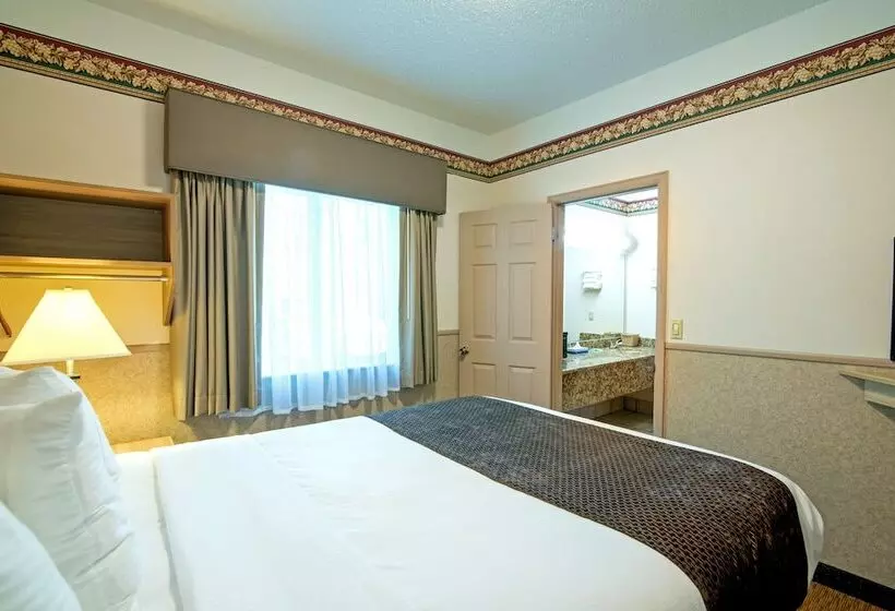 汽车旅馆 Silver Spruce Inn