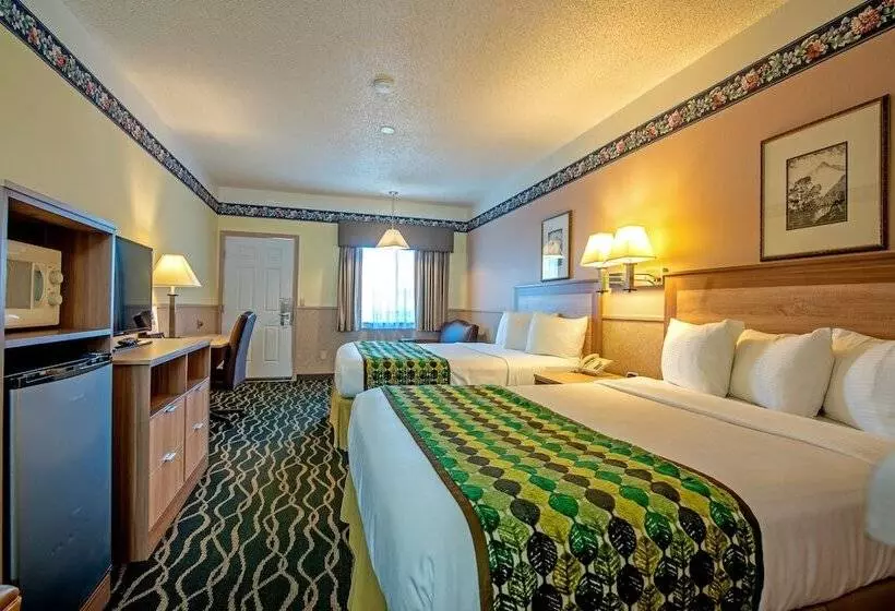 汽车旅馆 Silver Spruce Inn