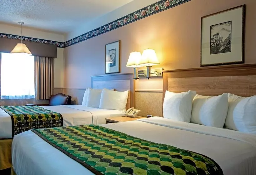 汽车旅馆 Silver Spruce Inn