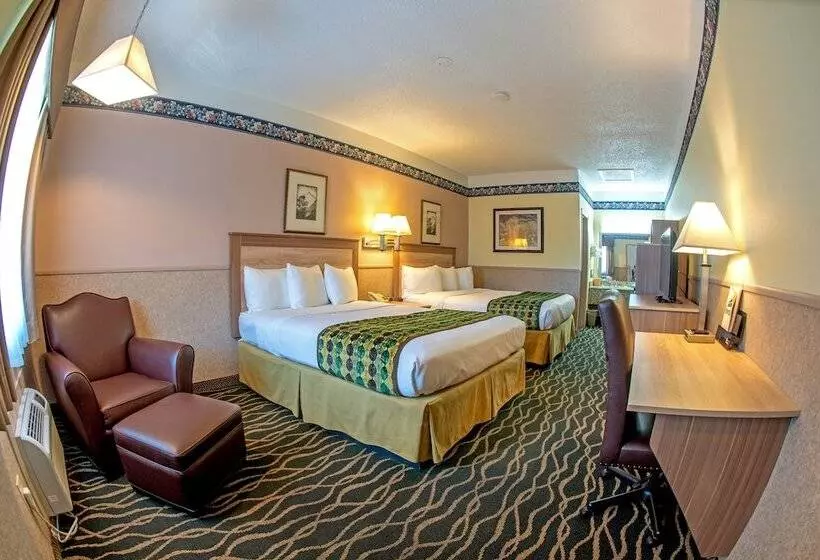 汽车旅馆 Silver Spruce Inn