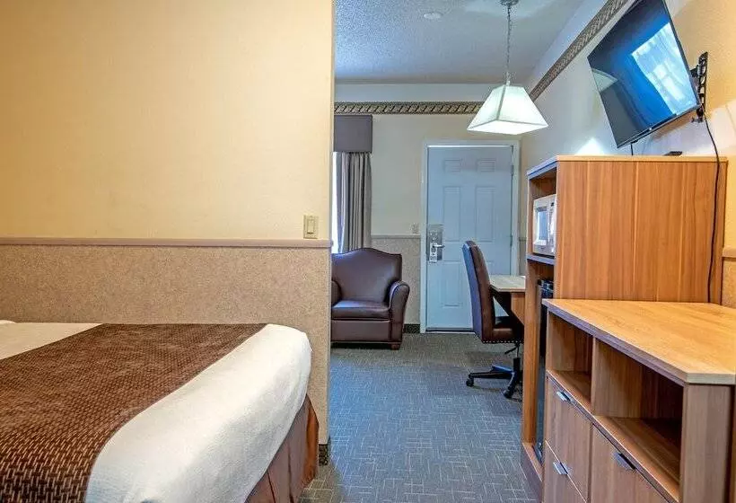 汽车旅馆 Silver Spruce Inn