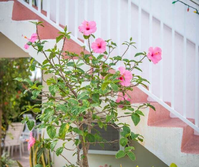 Shore Haven Resort Inn