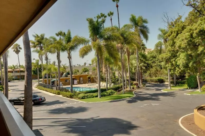 Отель Palmeras Chula Vista