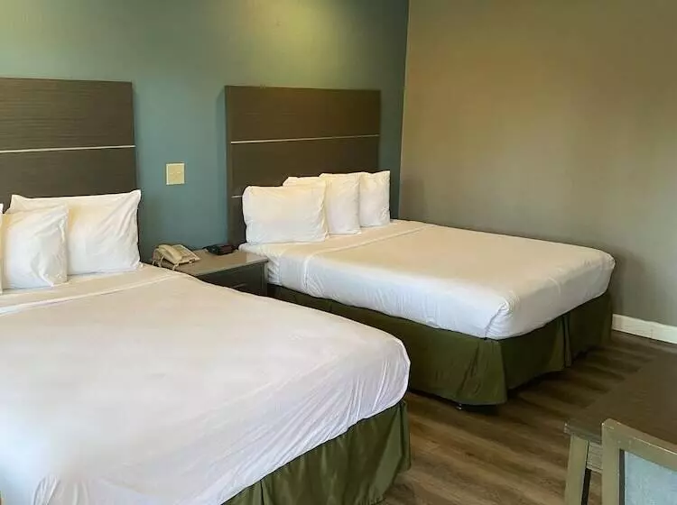 Отель Palmeras Chula Vista