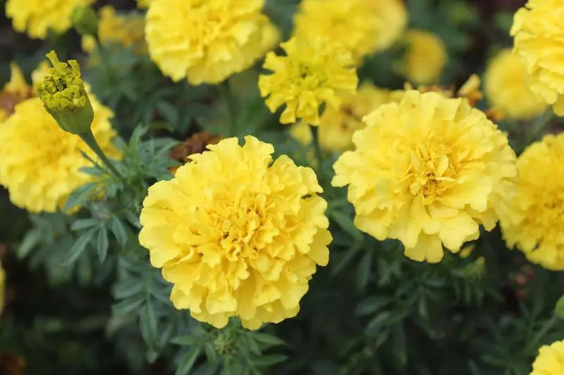 ホテル Tourway Inn