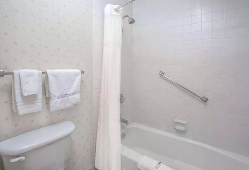 Hotel Travelodge By Wyndham Costa Mesa Newport Beach Hacienda