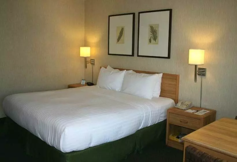 فندق Vagabond Inn Los Angeles At Usc