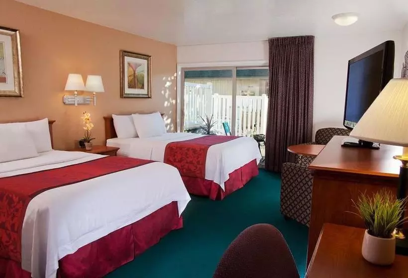 ホテル Windmill Inn