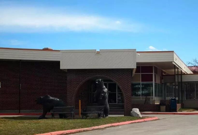 בית מלון כפרי Yogo Inn