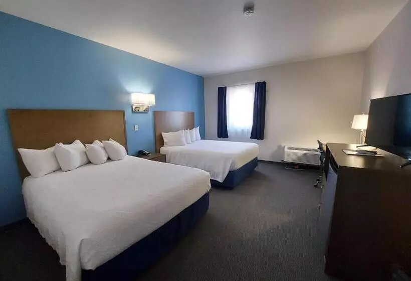 בית מלון כפרי Yogo Inn