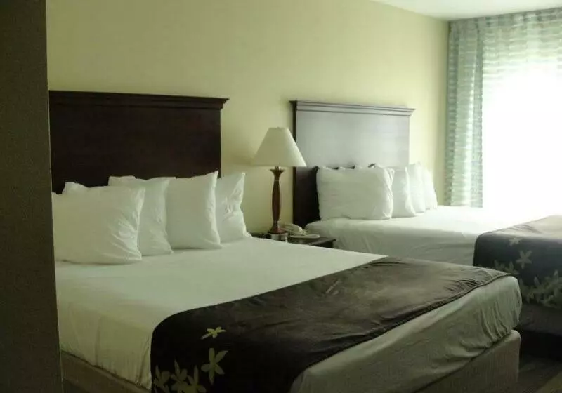 Gold Leaf Hotel Of Dewey