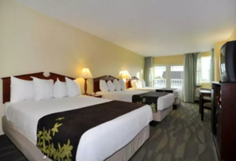 Gold Leaf Hotel Of Dewey