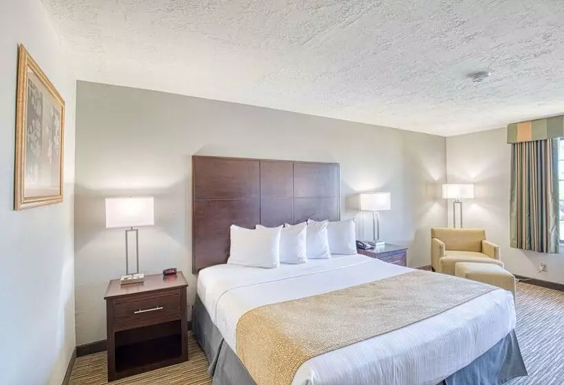 فندق Best Western Green Valley Inn