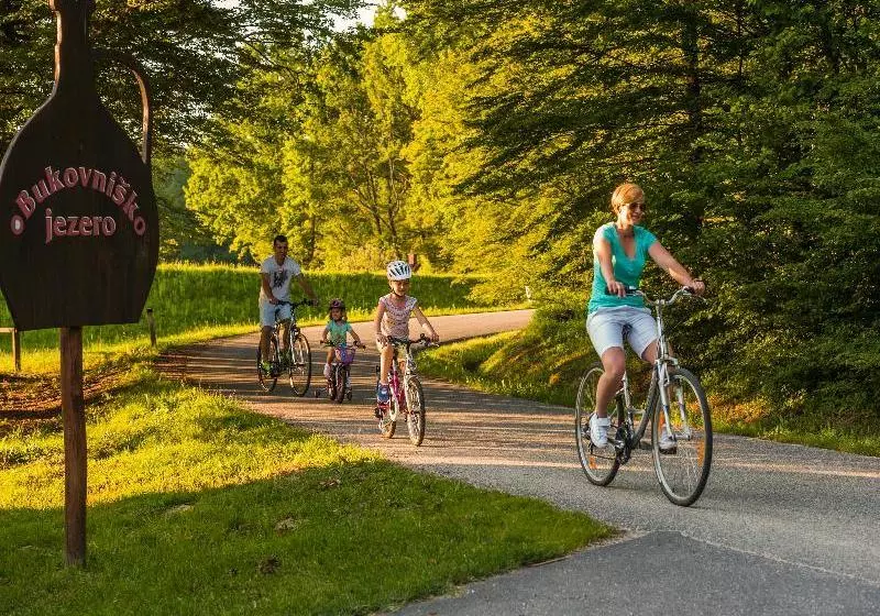 ホテル Lipa  Terme Lendava  Sava S & Resorts