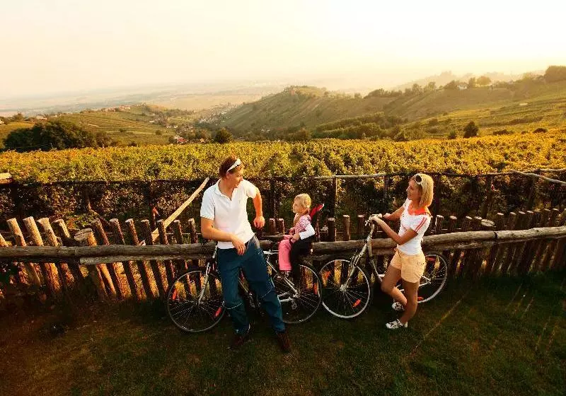 ホテル Lipa  Terme Lendava  Sava S & Resorts