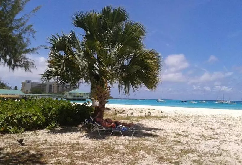 Nautilus Beach Apartments