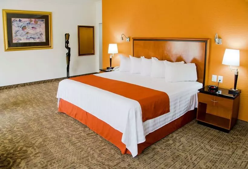 Hs Hotsson Hotel Tampico