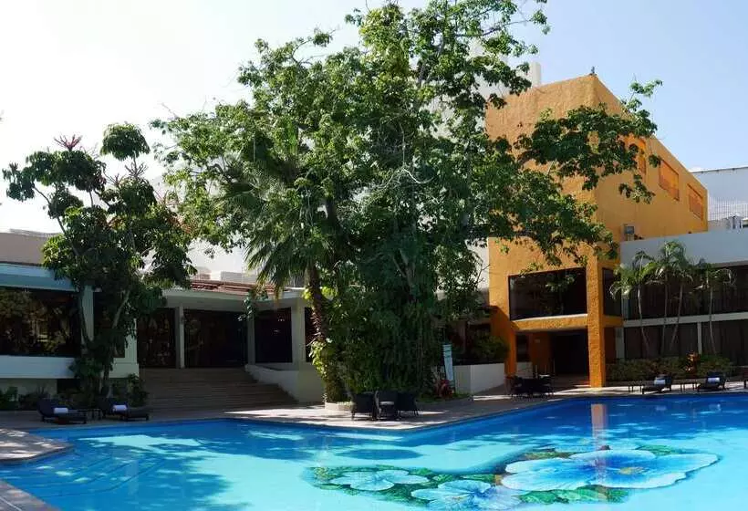 Hs Hotsson Hotel Tampico