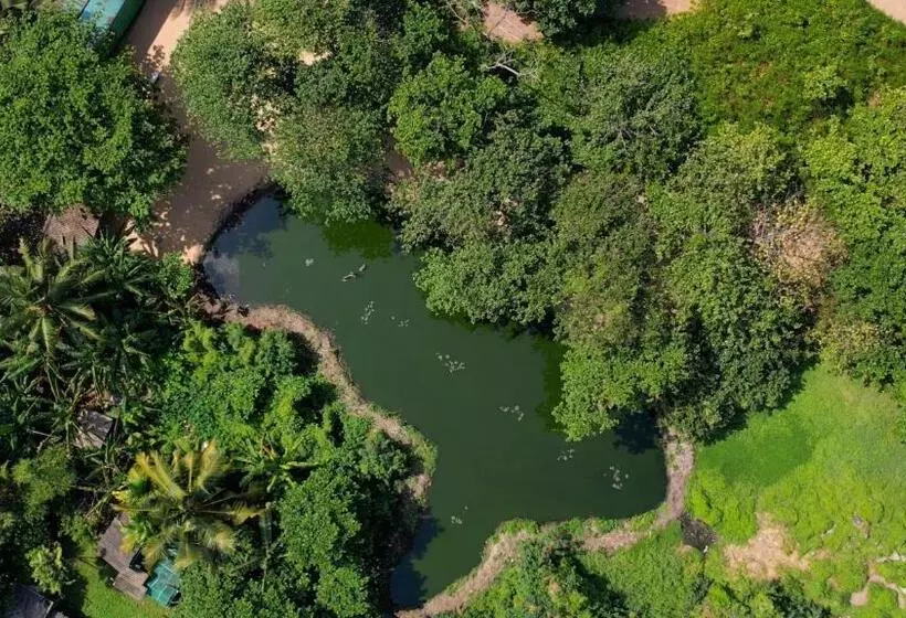 酒店 Pegasus Reef   A Beach Resort In Colombo