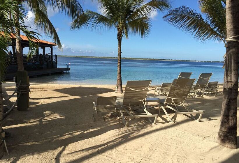 渡假胜地  Harbour Village Beach Club