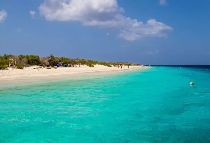 אתר נופש Harbour Village Beach Club