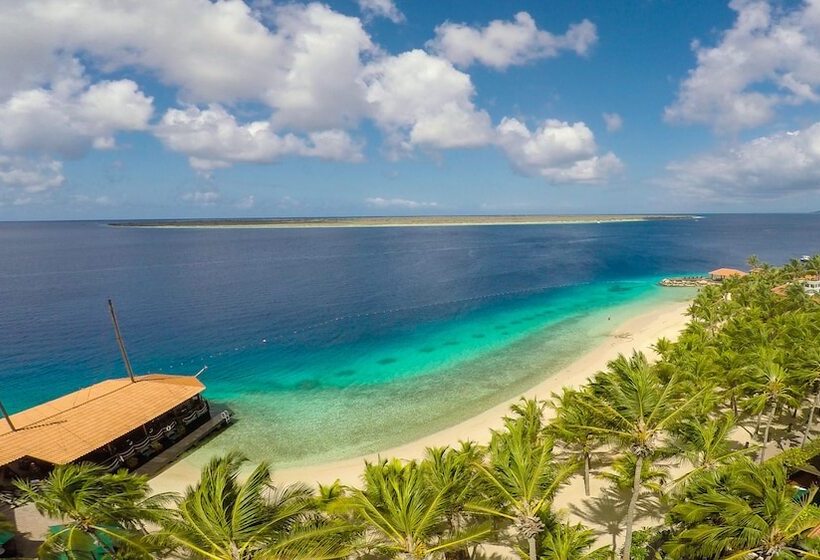 渡假胜地  Harbour Village Beach Club