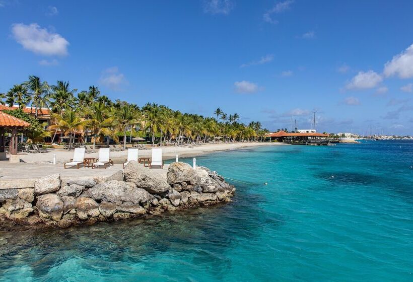 渡假胜地  Harbour Village Beach Club