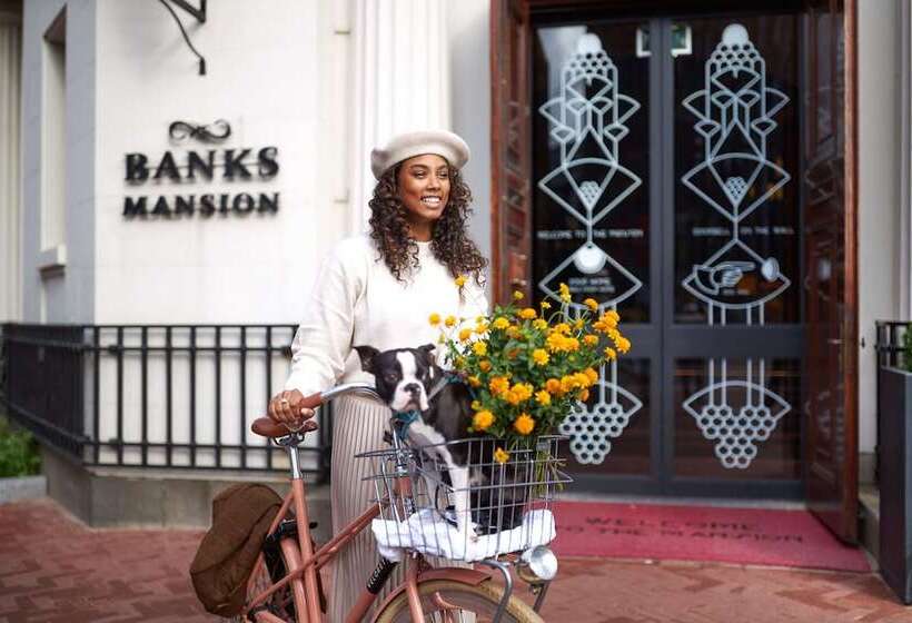 Hotel Banks Mansion   All Inclusive Boutique