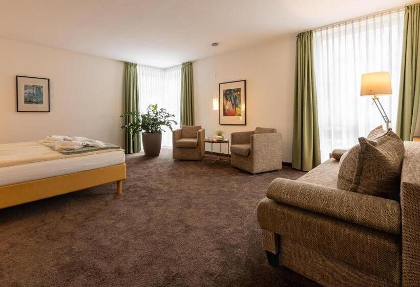 Отель Nibelungen Hof