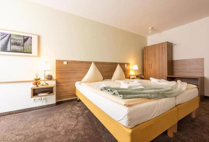 בית מלון כפרי Nibelungen Hof