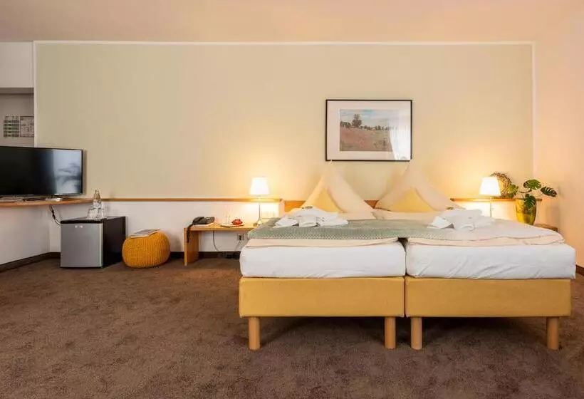 בית מלון כפרי Nibelungen Hof