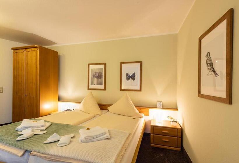 Отель Nibelungen Hof