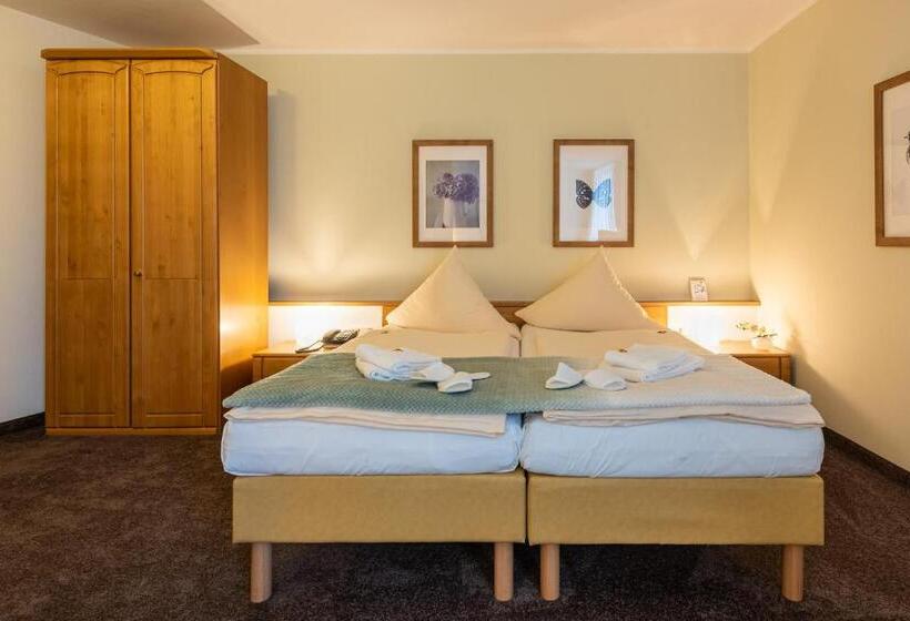 Отель Nibelungen Hof