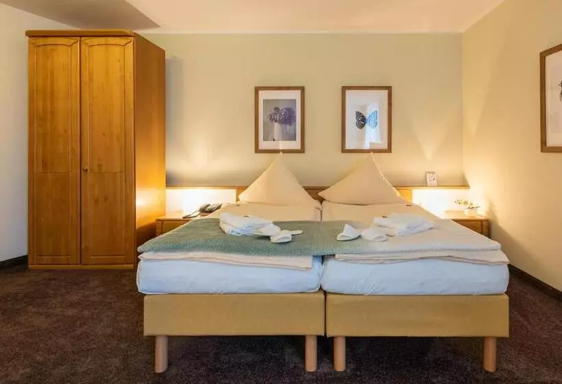 בית מלון כפרי Nibelungen Hof