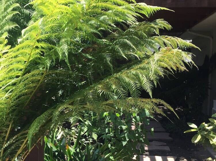 酒店 The Eagle Inn