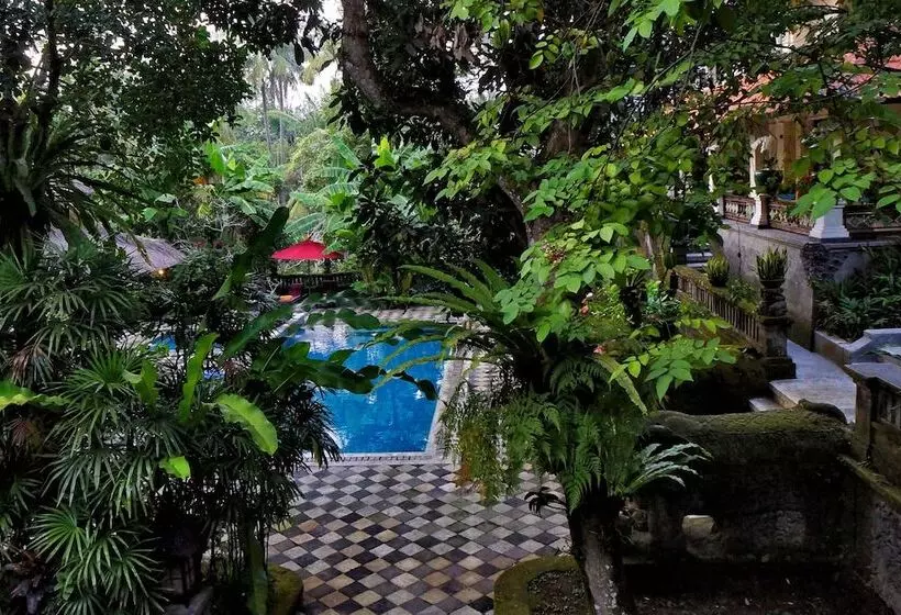 酒店 Arma Museum & Resort, Chse Certified