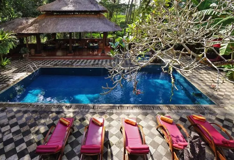 酒店 Arma Museum & Resort, Chse Certified