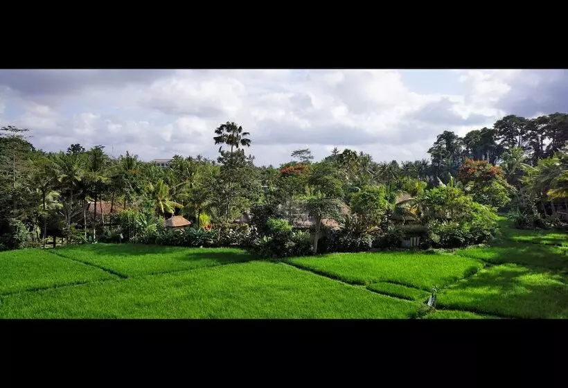 酒店 Arma Museum & Resort, Chse Certified