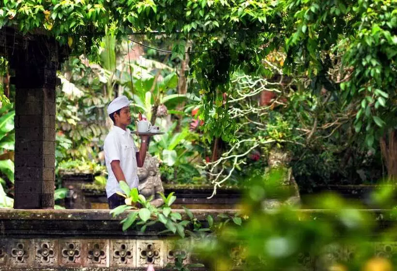 酒店 Arma Museum & Resort, Chse Certified