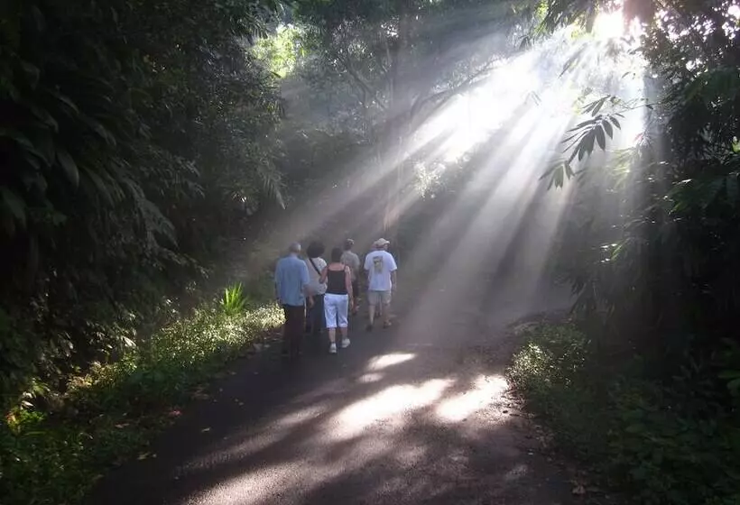 酒店 Arma Museum & Resort, Chse Certified