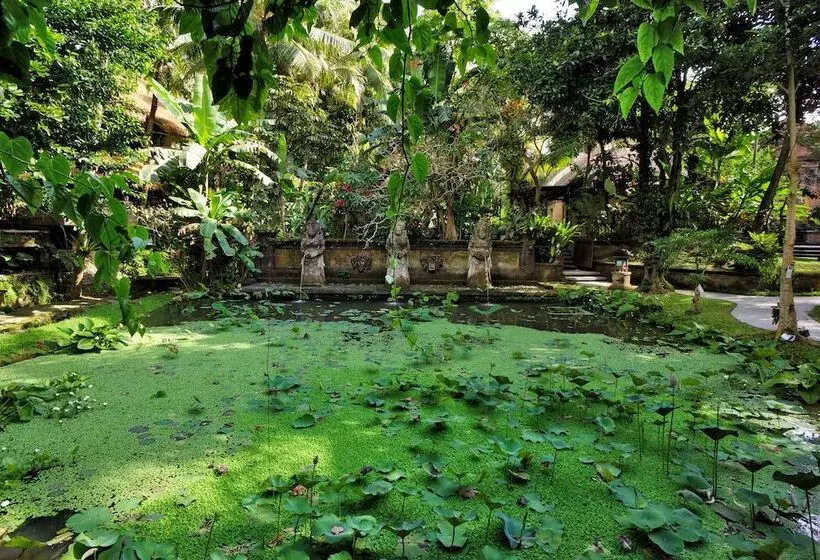 酒店 Arma Museum & Resort, Chse Certified