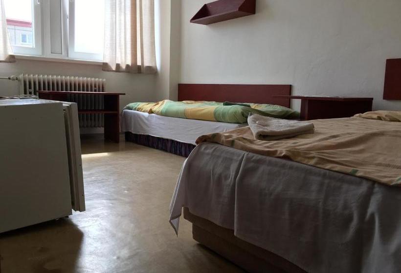 בית מלון כפרי Penzion Cestar