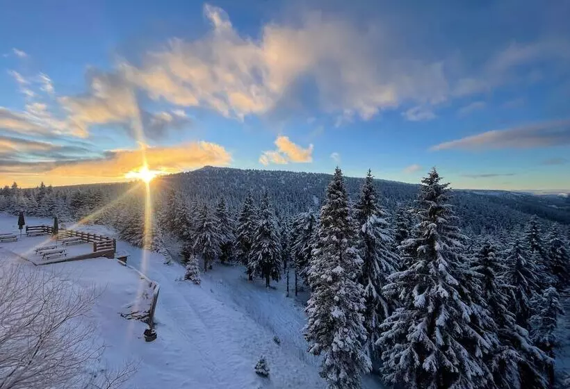 בית מלון כפרי Petrovy Kameny