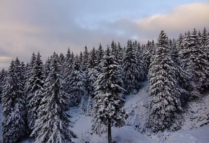 בית מלון כפרי Petrovy Kameny