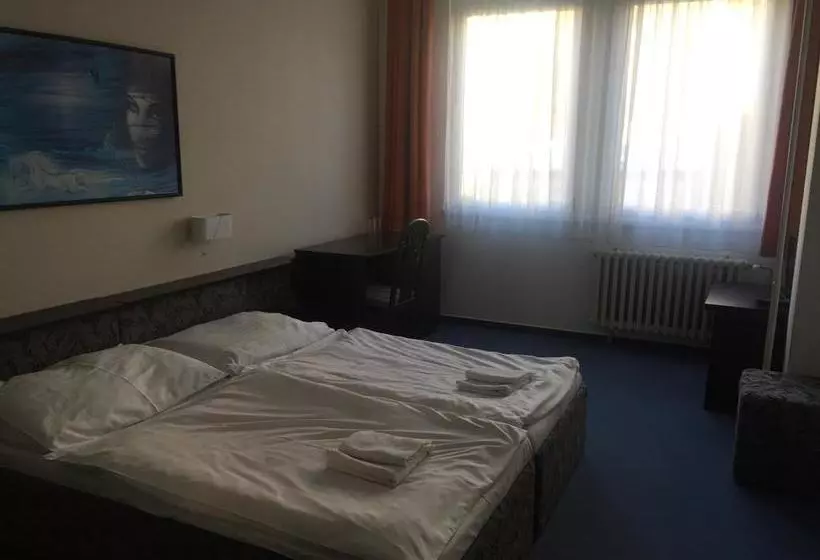 בית מלון כפרי U Tri Lvu