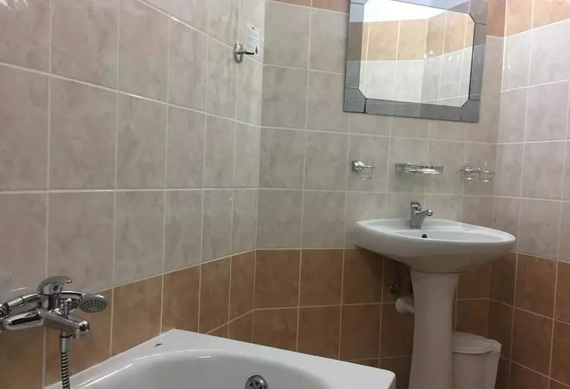 בית מלון כפרי U Tri Lvu