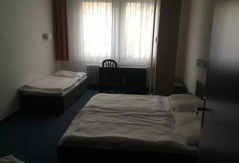 בית מלון כפרי U Tri Lvu